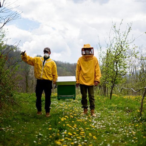 posizionamento api